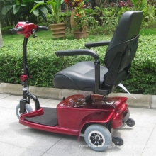 Tricycle pour handicapés électriques âgés de 250 watts (DL24250-1)